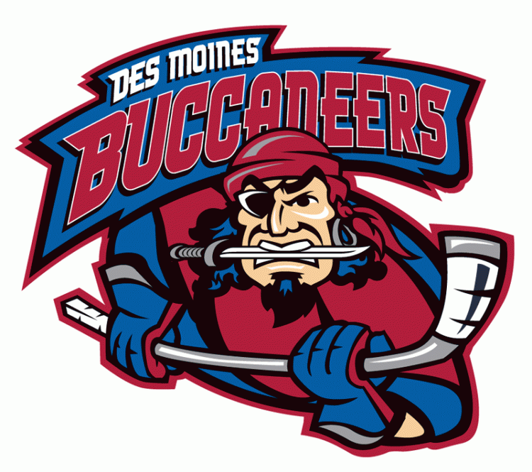 des moines buccaneers 2005-2011 primary logo iron on transfers for clothing